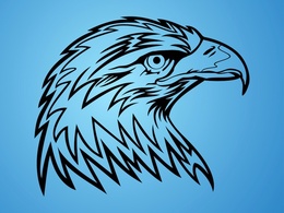 Eagle Head