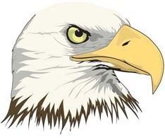 Animals - Eagle vector 10 