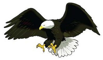 Eagle vector 11