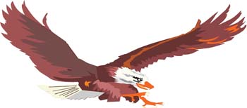 Eagle Vector 5