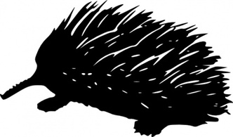 Echidna clip art 