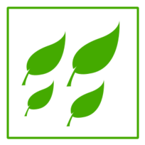 Eco Green Leaves Icon