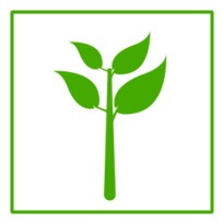 Eco Green Plant Icon