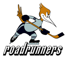 Edmonton Roadrunners