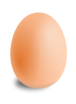 Food - Egg 