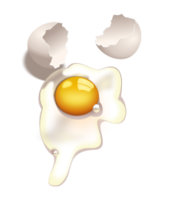 Egg Uncooked