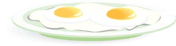 Food - Egg Vector 3 