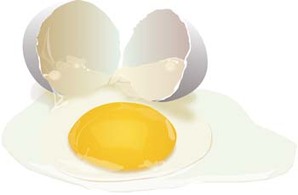 Food - Egg Vector 4 