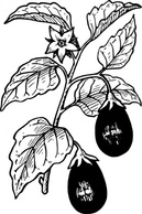 Nature - Eggplant clip art 