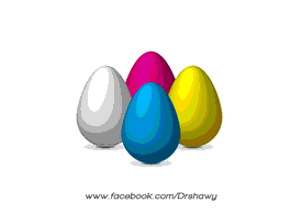 Eggs Vectors Preview