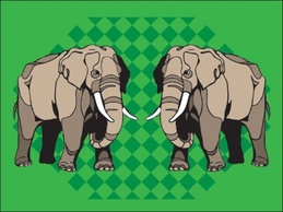 Elefante Preview