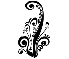 Flourishes & Swirls - Elegant floral vector 