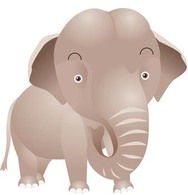 Elephant 7