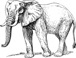 Animals - Elephant clip art 