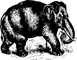 Animals - Elephant clip art 