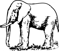 Animals - Elephant Drawing clip art 