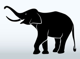 Animals - Elephant Graphic 