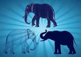 Animals - Elephant Graphics 