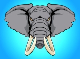 Elephant Head