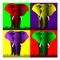 Animals - Elephants 