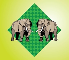 Elephants Preview