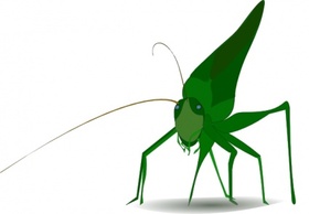 Emeza Grasshopper clip art Preview