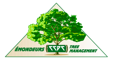 Emondeurs Tree Management