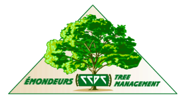 Emondeurs Tree Management 