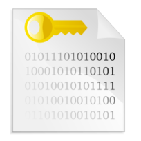 Icons - Encrypted file icon 