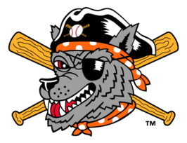 Erie Seawolves Preview