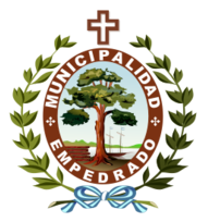 Escudo de la Municipalidad de Empedrado Preview
