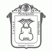 Escudo Del Municipio DE Metepec