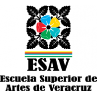 Escuela Superior de Artes de Veracruz Preview