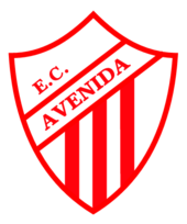 Esporte Clube Avenida De Viamao Rs