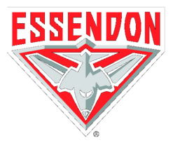 Essendon Bombers 