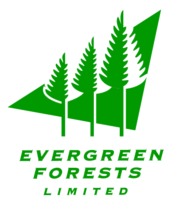 Evergreen Forests