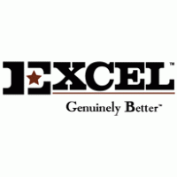 Excel Genuinely Better