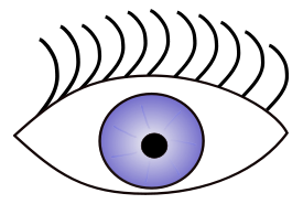 Eye