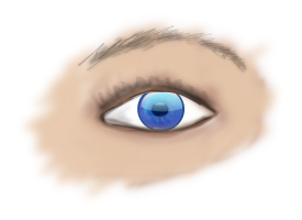 Eye