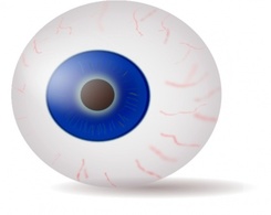 Nature - Eyeball Blue Realistic clip art 