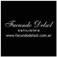 Facundo Delsol Estilista's