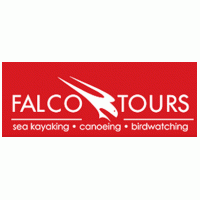 Falco Tours Preview