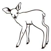 Fawn Outline Preview