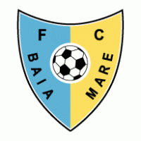 FC Baia Mare