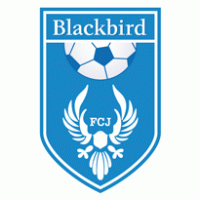 Football - FC Blackbird Jyvaskyla 