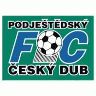 Football - FC Ceský Dub 