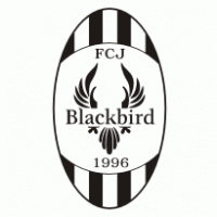 FC Jyvaskyla Blackbird Preview