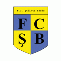 Football - FC Stiinta Bacau 