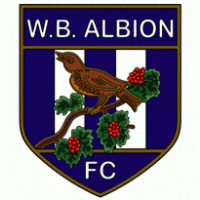 Football - FC West Bromwich Albion (60's - 70's logo) 