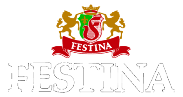 Festina Watches Preview